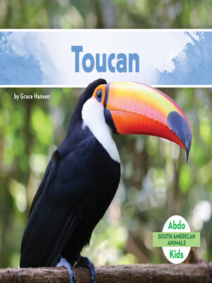 cover image of Toucan